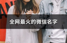 最火微信昵称,解锁微信昵称新风尚，让你的个性在朋友圈闪耀！
