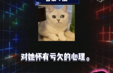 娱乐娱乐吃瓜,揭秘“吃瓜”背后的娱乐真相