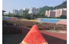 学姐吃瓜娱乐,娱乐圈幕后趣闻大揭秘