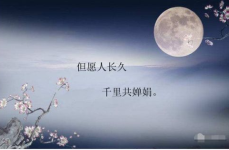 描写中秋节的诗句有什么,中秋月圆诗意浓