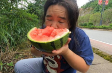 娱乐吃瓜菌子,吃瓜菌子的娱乐八卦探秘之旅