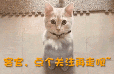 5元一个！温州“吃瓜公多”上线吨，前飞儿笑团吉他手阿沁的内帮花花因持有毒品被警方给拘系了及202527娱笑资讯：任嘉伦、肖战、刘诗诗、杨颖、哪吒2、具俊晔，51吃瓜爆料黑料官网51今日更新-爆料黑料官
